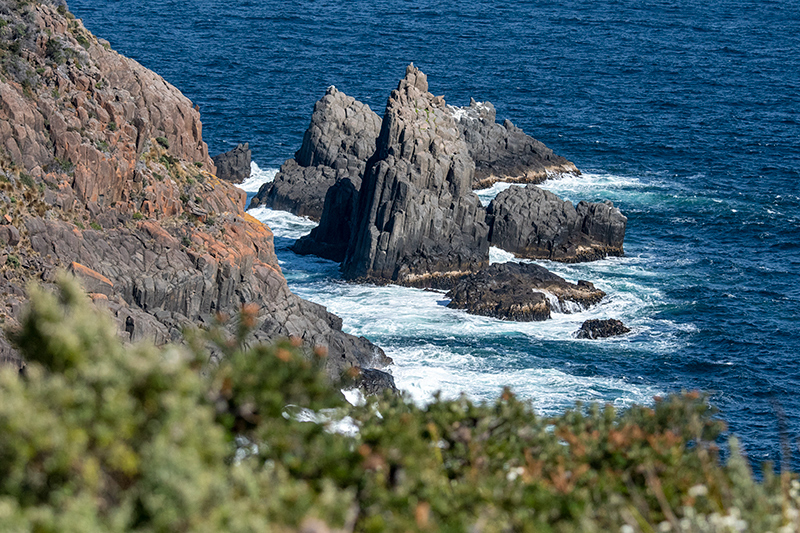 South Bruny NP, Bruny Island, Tasmania