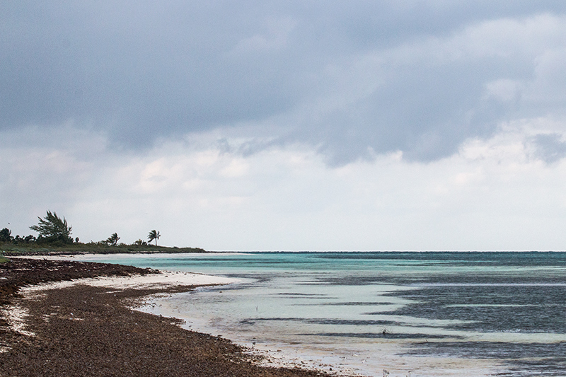 Shoreline, Playa Las Coloradas, Cuba