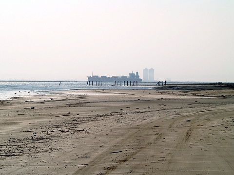 Looking Towards Bolivar Flats