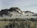 Some of Richard Becker's Favorite Birding Places