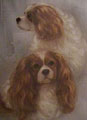 Song, Dance, Folly, and Whimsey - Cavalier King Charles Spaniels