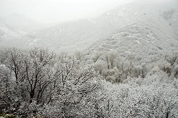 Snowy Day - on way from East Canyon to Morgan City, Utah