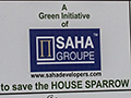 Conserve the House Sparrow, Okhla Bird Sanctuary, Noida, India