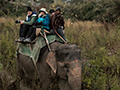 Elephant Safari From Tiger Camp, India
