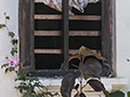 Window, Kitulgala, Sri Lanka