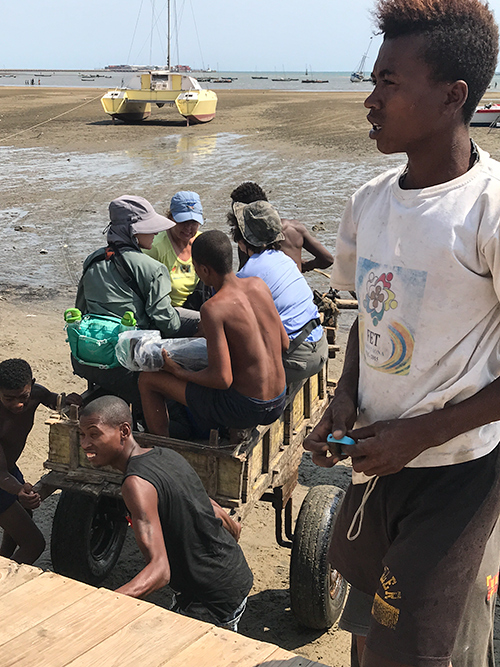 Ox-cart, Tulear Harbor, Madagascar