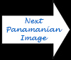 Richard L. Becker's Images of Panama