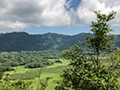 Arusha National Park, Tanzania
