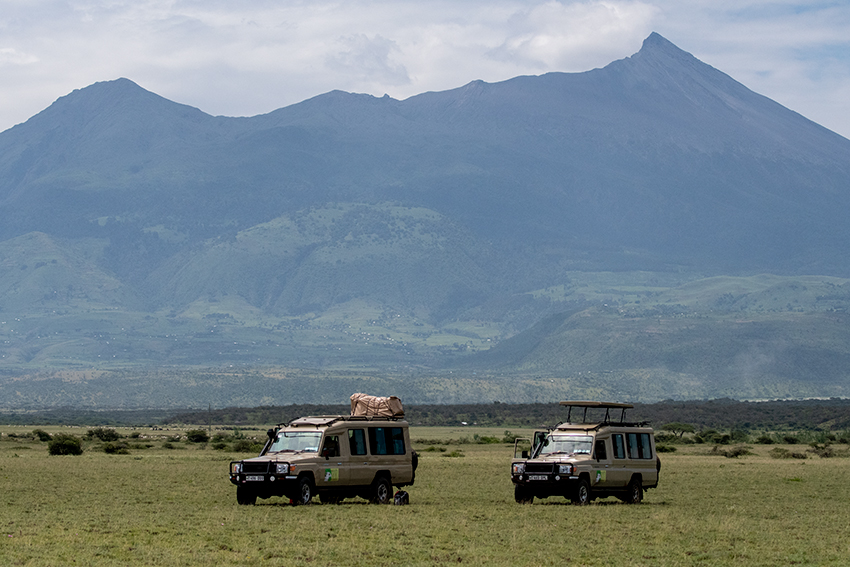 Cheepers! Birding on a Budget Toour Vehicles, The Lark Plains, Tanzania